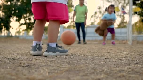 年轻的母亲和她的女儿一起在一个夏季公园踢足球玩得很开心 幸福家庭和童年的概念 — 图库视频影像
