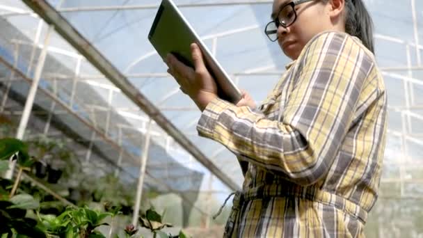 温室で苗にデジタルタブレットを使用しているアジアの若い女性庭師 農業分野で活躍したタブレット型コンピュータを用いた農家 — ストック動画