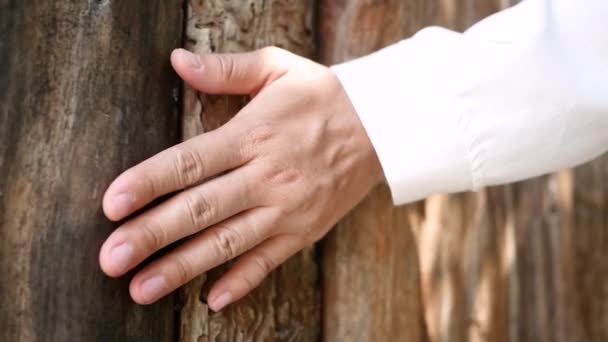 Blisko Kobiety Ręka Dotykając Twardej Szorstkiej Powierzchni Stare Drewniane Drzwi — Wideo stockowe
