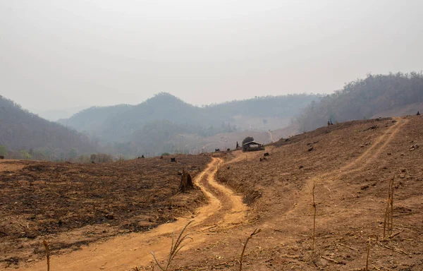 A view on the arid mountains with smog in summer in northern Thailand.