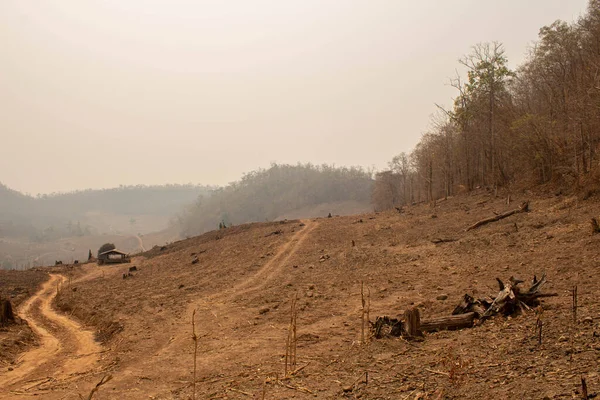 Uitzicht Dorre Bergen Met Smog Zomer Het Noorden Van Thailand — Stockfoto