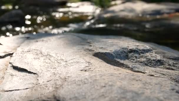 Jeune Femme Placé Livre Sur Les Rochers Avec Soleil Qui — Video