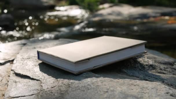 有一本书放在岩石上 阳光闪烁着 溪水流过 它是森林中的背景 暑假和教育中的生活方式概念 — 图库视频影像