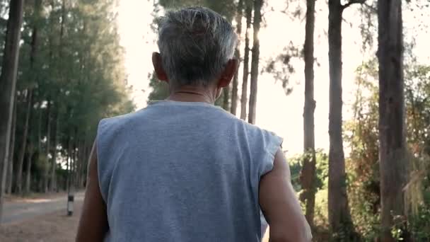 Hombre Mayor Asiático Corriendo Parque Sobre Fondo Del Cielo Atardecer — Vídeo de stock