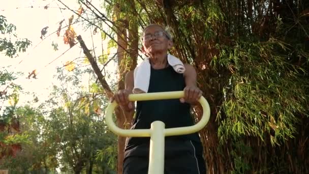 Asian Senior Man Sporty Clothes Exercising Good Health Outdoor Fitness — Stock Video