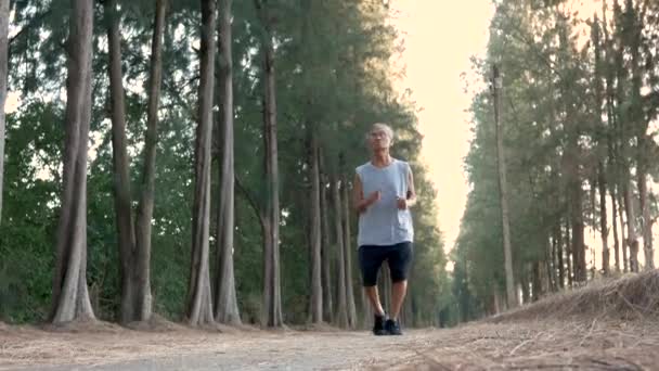 Hombre Mayor Asiático Corriendo Parque Sobre Fondo Del Cielo Atardecer — Vídeos de Stock