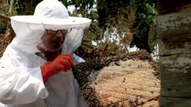 Beyaz koruyucu elbiseli Asyalı arı yetiştiricisi çiftlikte bal dolu bal peteğiyle hasat yapıyor. Bal toplama işlemi. Arı yetiştirme, arıcılık süreci kavramı.
