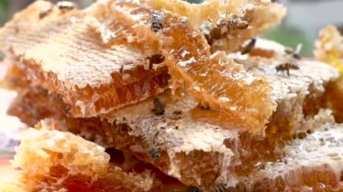 Taze organik bal dolu bal peteği tepside toplanıyor ve şişeye bal pompalamaya hazırlanıyor. Arı yetiştirme, arıcılık süreci kavramı.