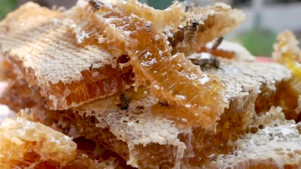 蜂窝里塞满了新鲜的有机蜂蜜 准备将蜂蜜倒入瓶中 养蜂过程的概念 — 图库视频影像