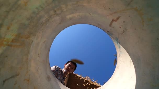 アジアの農家は乾燥した水田の種をすくってバケツに入れ 澄んだ空の背景に置きます — ストック動画