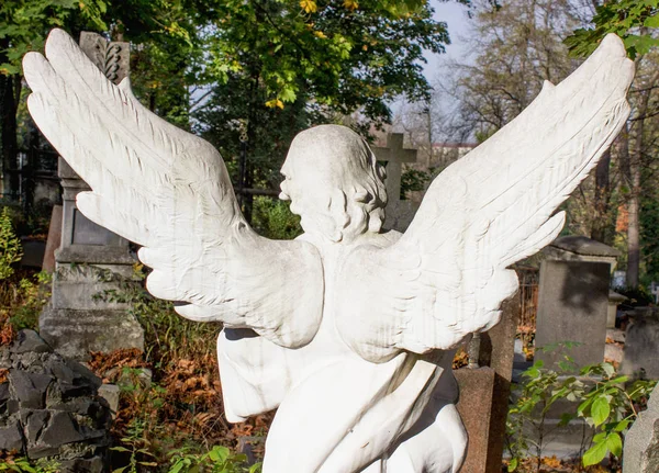 The back of an angel in the cemetery. The guard of the dead