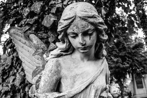 Ангел Женщина Выражением Милосердия Добро Зло — стоковое фото