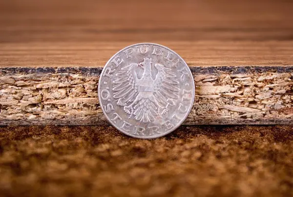 Austrian Coins Close Ten Shillings — ストック写真