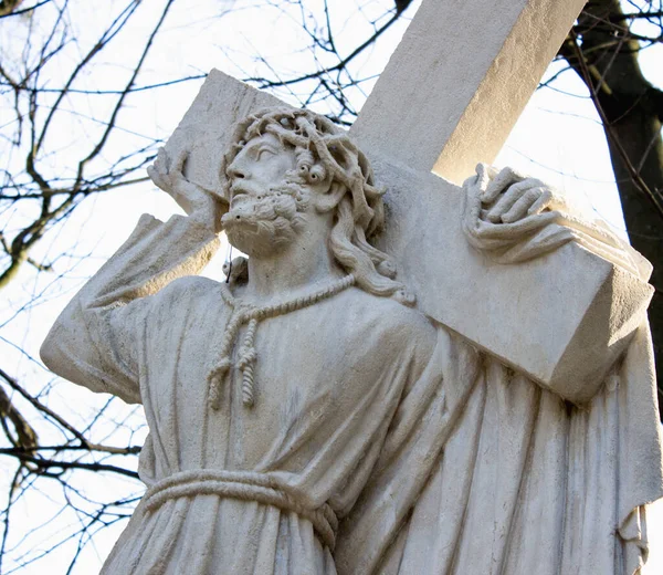 Jesus Christ Bears Cross Suffering Death — Stock Photo, Image