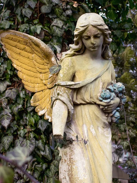 女性のイメージで死の天使 — ストック写真