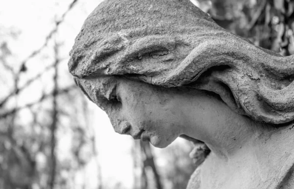 女性のイメージで死の天使 — ストック写真