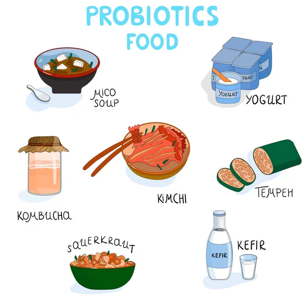 Probiyotik gıda seti. Kombu çayı, kimçi, soya tempeh, mikro çorba, yoğurt, lahana turşusu ve kefir var. Zengin besinli yiyecekler.