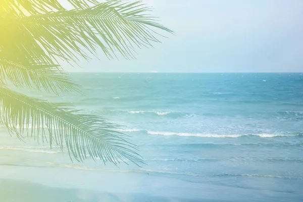 Tropikal Beach, palm ağaç dalları deniz arka plan üzerinde bulanık görüntü
