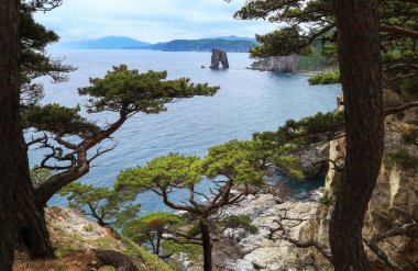 Cape Sosnovy ve Cliff Sail, Primorsky Krai, Rusya. Uzak Doğu Deniz Koruma Alanı