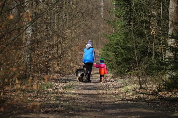 Çocuklar Köpekleriyle Ormanda Yürüyüşe Çıktılar Stok Fotoğraf