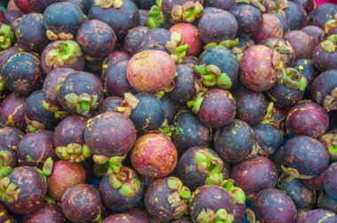 Olgun mangosteen desenli arkaplan yığını