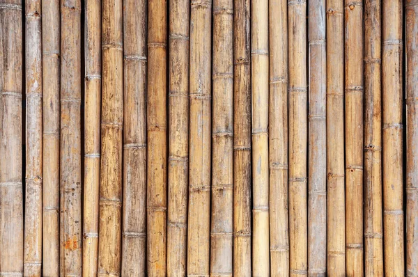 Bambusové stěny nebo bambus plot textura pozadí — Stock fotografie