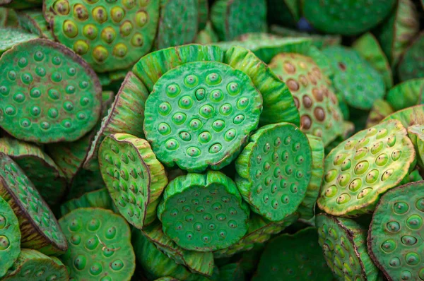 緑の蓮の種鞘の閉鎖花 — ストック写真