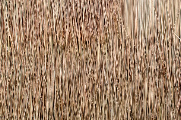 Close-up de fundo do telhado de palha, feno ou grama seca fundo — Fotografia de Stock