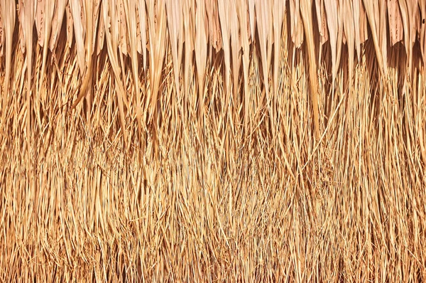 Close-up de fundo do telhado de palha, feno ou grama seca fundo , — Fotografia de Stock