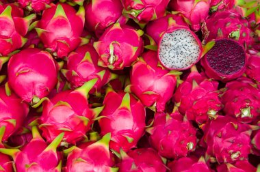 Renkli Ejder meyvesi ya da Pitaya standı