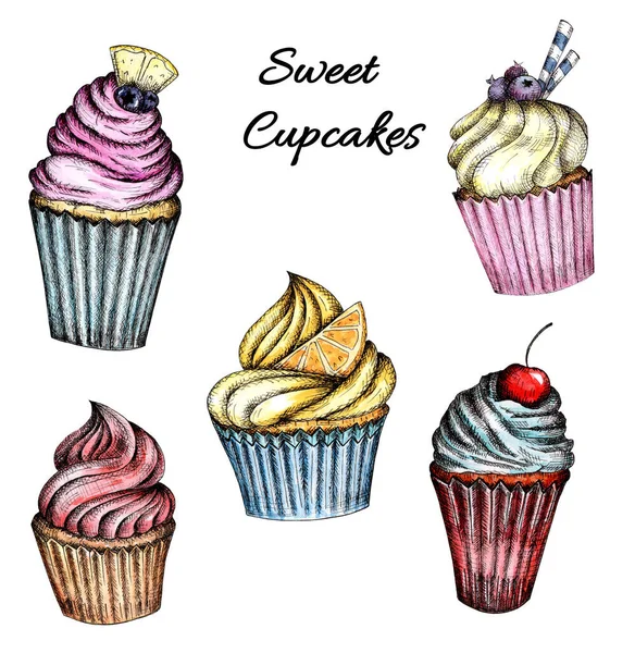 Una colección de cupcakes de colores con crema y bayas. Acuarela dibujo a mano aislado sobre un fondo blanco . — Foto de Stock