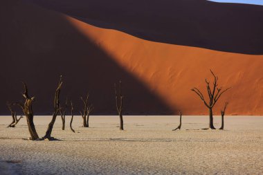 Çölde kırmızı kum tepelerinin arasında kurumuş yüz yıllık ağaçların siluetleri. Ölü iskelet ağaçlarıyla olağandışı gerçeküstü uzaylı manzarası. Deadvlei, Namib-Naukluft Ulusal Parkı, Namibya. Namib Çölü