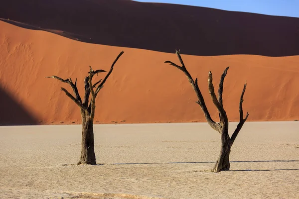 Siluetas de árboles secos centenarios en el desierto entre dunas de arena roja. Inusual paisaje alienígena surrealista con árboles esqueletos muertos. Deadvlei, Parque Nacional Namib-Naukluft, Namibia. desierto de Namib — Foto de Stock