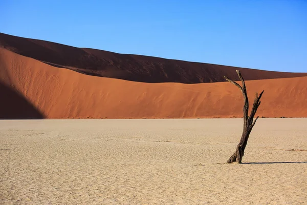 Siluetas de árboles secos centenarios en el desierto entre dunas de arena roja. Inusual paisaje alienígena surrealista con árboles esqueletos muertos. Deadvlei, Parque Nacional Namib-Naukluft, Namibia. desierto de Namib — Foto de Stock