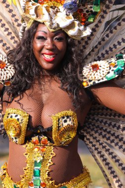 Nice, Fransa - 25 Şubat 2012: Karnaval geçit törenine katılanlar Nice, Karnaval de Nice, Roi de Media, çiçek geçit törenleri