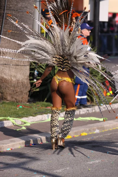 Nizza, Francia - 25 febbraio 2012: Partecipanti alla sfilata di carnevale Battaglia dei Fiori a Nizza, Carnaval de Nice, Roi de Media, sfilate floreali — Foto Stock