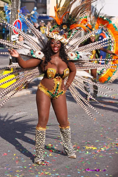 Nice, France - 25 février 2012 : Les participants au défilé du carnaval des fleurs Bataille des fleurs à Nice, Carnaval de Nice, Roi de Media, défilés des fleurs — Photo