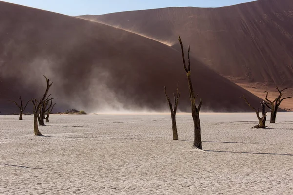 Siluetas de árboles secos centenarios en el desierto entre dunas de arena roja y torbellino. Inusual paisaje alienígena surrealista con árboles esqueletos muertos. Deadvlei, Parque Nacional Namib-Naukluft, Namibia. — Foto de Stock