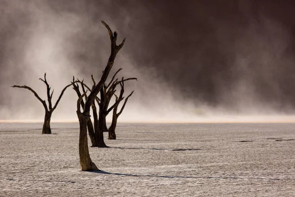 Silhouetten von trockenen hundert Jahre alten Bäumen in der Wüste zwischen roten Sanddünen und Wirbelwind. Ungewöhnliche surreale fremde Landschaft mit abgestorbenen Baumskeletten. Deadvlei, Namib-Naukluft Nationalpark, Namibia. — Stockfoto