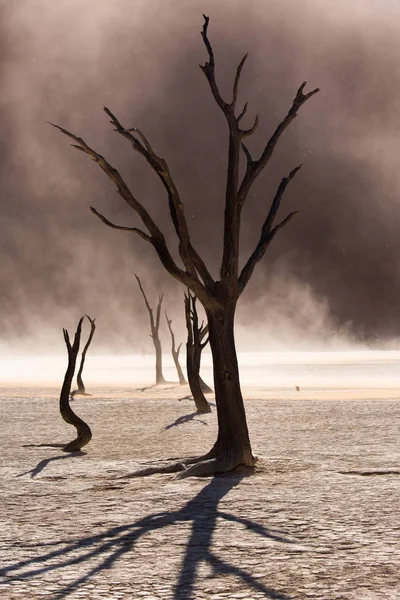 Siluetas de árboles secos centenarios en el desierto entre dunas de arena roja y torbellino. Inusual paisaje alienígena surrealista con árboles esqueletos muertos. Deadvlei, Parque Nacional Namib-Naukluft, Namibia. — Foto de Stock