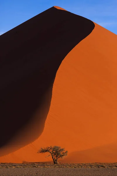 Vackert landskap med röda enorma sanddyner och ensamt träd vid solnedgången i öknen. Sossusvlei, Namib Naukluft National Park, Namibia. Fantastisk naturlig geometri utan människor — Stockfoto