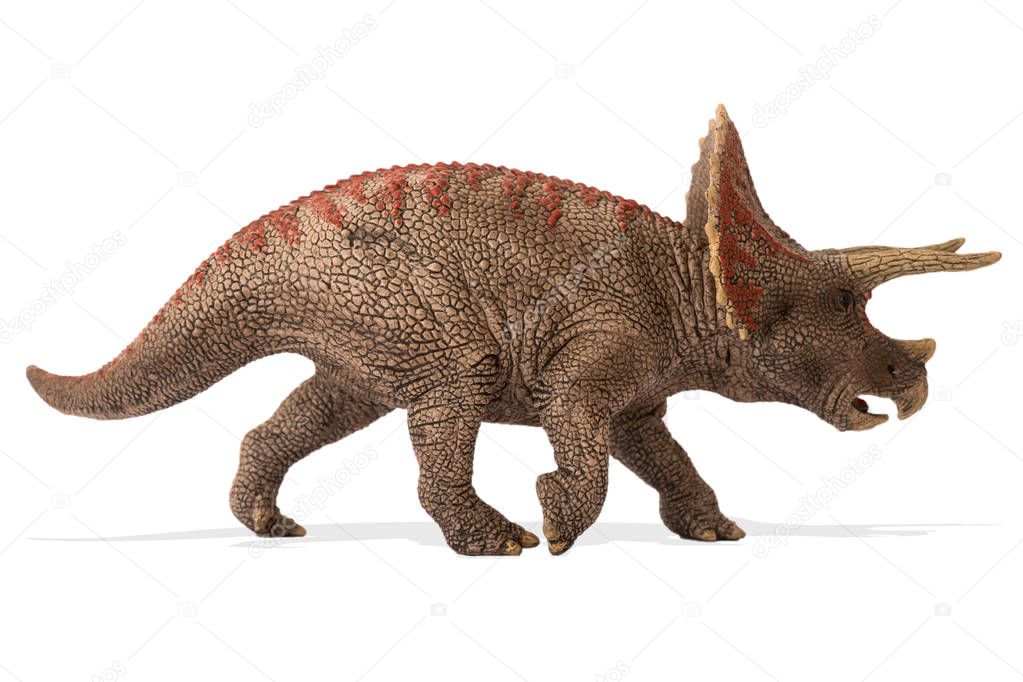 Triceratops isolated on white background. Lateral view.