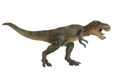 Beyaz arka plan üzerinde bir tyrannosaurus rex portresi