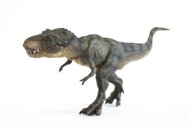Beyaz arka plan üzerinde bir tyrannosaurus rex portresi