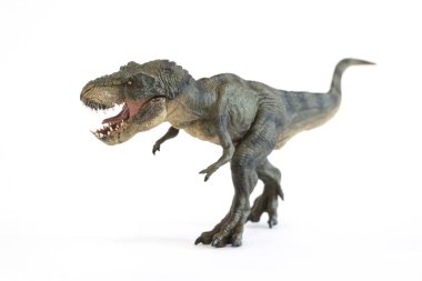 Beyaz arka plan üzerinde bir tyrannosaurus rex portresi