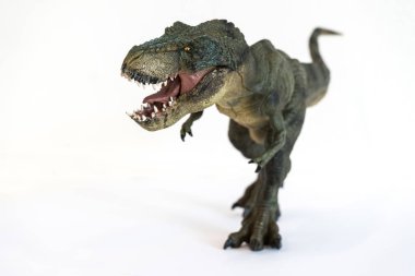 Beyaz arka plan üzerinde bir tyrannosaurus rex portresi