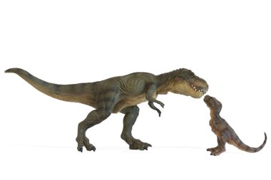 Tyrannosaurus rex beyaz arka plan üzerinde izole bebek tyrannosaurus rex ile