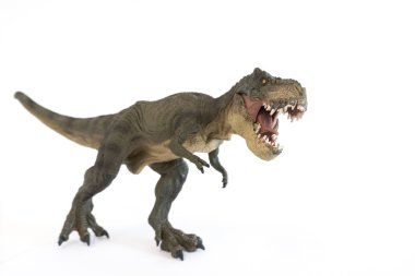 Beyaz arka plan üzerinde bir tyrannosaurus rex portresi