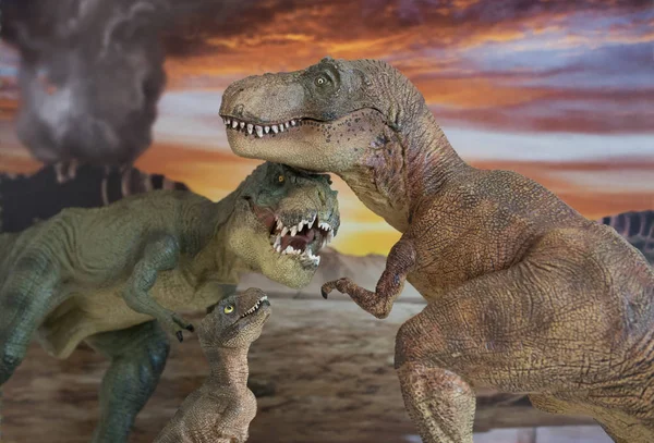 Family of Tyrannosaurus rex dinosaurs with erupting volcano in the background — 스톡 사진