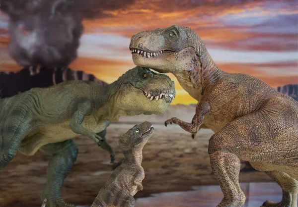 Family of Tyrannosaurus rex dinosaurs with erupting volcano in the background — 스톡 사진
